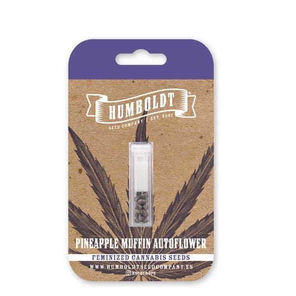 Auto Pineapple Muffin > Humbolt Seed Company | Autoflowering Hanfsamen  |  Hybrid